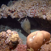 PB211788-t.JPG