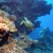 PB221813-t.JPG