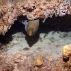 PB211785-t.JPG