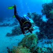 PB231925-t.JPG