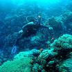 PB231945-t.JPG