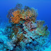 PB231958-t.JPG