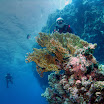 PB232000-t.JPG