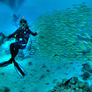 PB242022-t.JPG