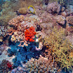 PB242032-t.JPG