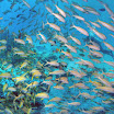 PB242055-t.JPG