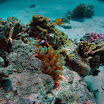 PB242063-t.JPG