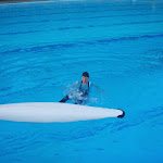 PA100032.jpg