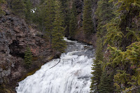 _DSC2131.jpg Photo
