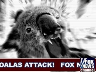 [bear attack[3].jpg]