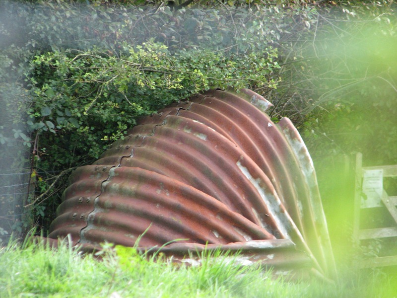 IMG_6146 IMG_6146