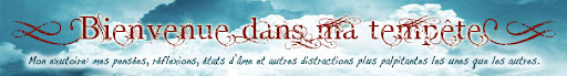 Bienvenue dans ma tempête