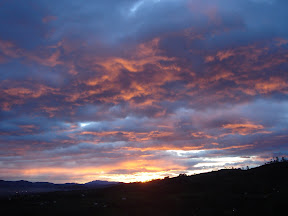 DSC01463.JPG