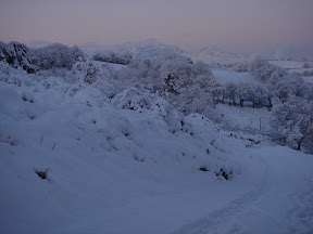 DSC00953.JPG