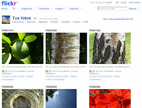 flickr.jpg