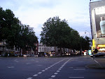 DSC02468.JPG