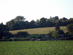 DSC02844.JPG