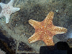 DSC05491.JPG