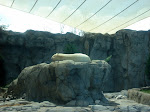 DSC05576.JPG