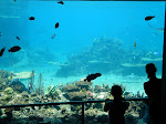 DSC05553.JPG