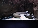 DSC05680.JPG