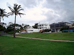 DSC05384.JPG