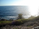 DSC06019.JPG