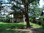 DSC03673.JPG