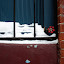 IMG_4080-Edit.jpg