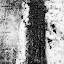 IMG_4082-Edit.jpg