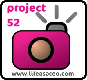 [project52button2300x2754.jpg]