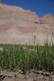 DSC_0143.JPG