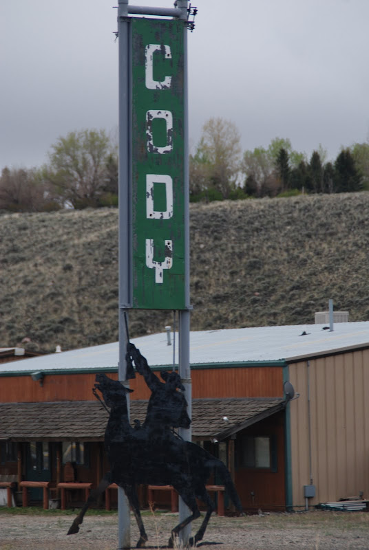 DSC_0306.JPG