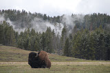 DSC_0397.JPG