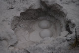 DSC_0431.JPG