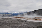 DSC_0609.JPG