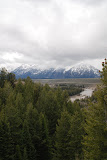 DSC_0546.JPG