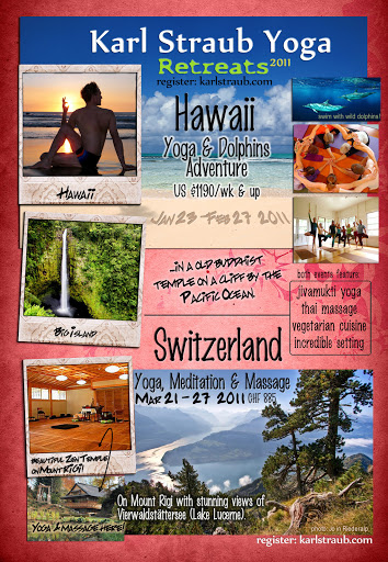 2011 hawaii and rigi flyer