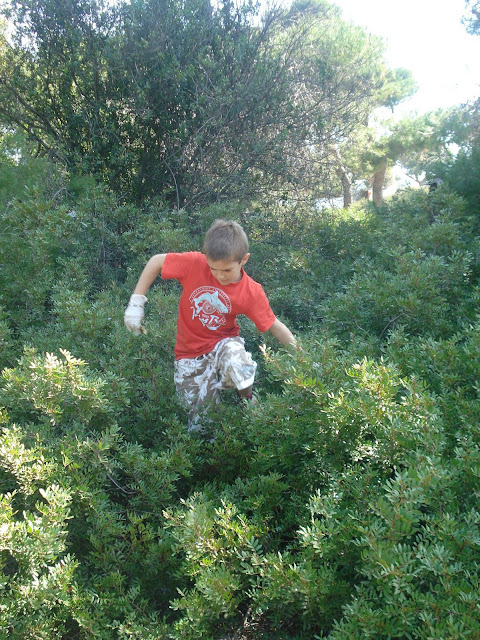 Schinias Beach Clean-up