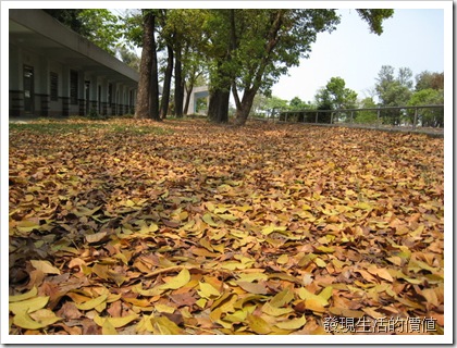 JingLiau_Elementary_School739_640x480