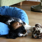 Sweet dreams