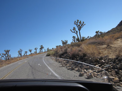 joshua tree national monument