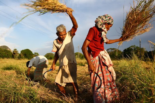 Climate Change: A Development Challenge