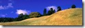 Desktop Widescreen Wallpaper 15
