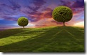 Landscape(1) 1 1440x900 5 Desktop Widescreen Wallpaper
