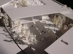 DSCN0036_medium.JPG