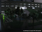 IMG_9368.JPG