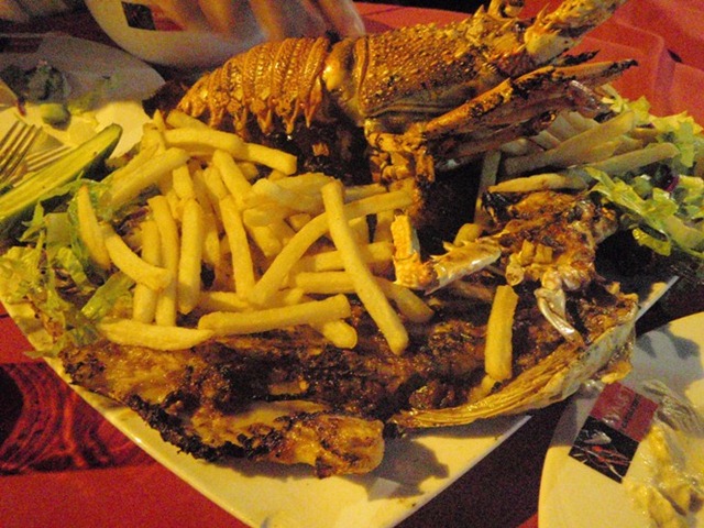 [P1014058[3].jpg]
