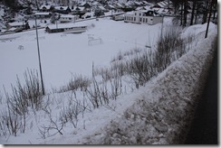 IMG_9048 IMG_9048