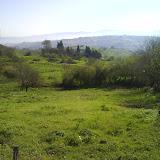 DSC00539.JPG